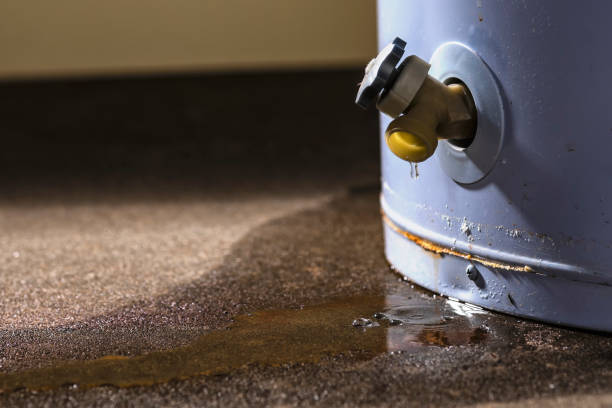 Best Flood restoration services  in Kenvil, NJ
