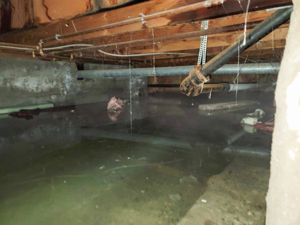 Best Water damage restoration experts  in Kenvil, NJ