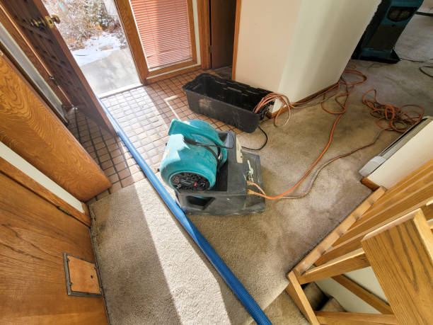 Best Local water damage restoration  in Kenvil, NJ