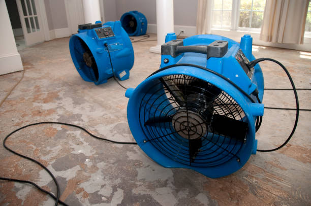 Best Flooded house restoration  in Kenvil, NJ