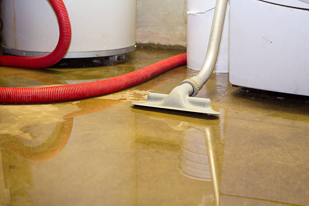 Best Ceiling water damage repair  in Kenvil, NJ