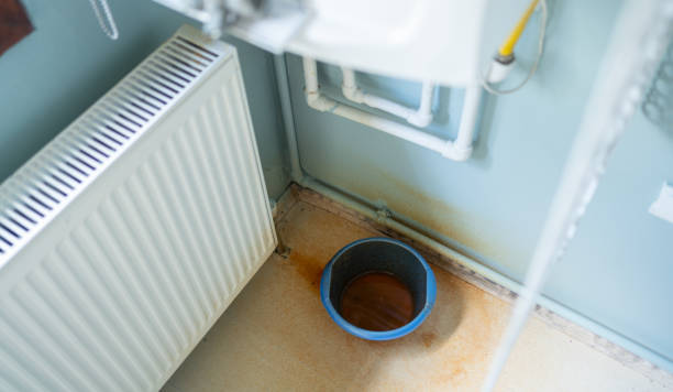 Best Water damage restoration mold remediation  in Kenvil, NJ