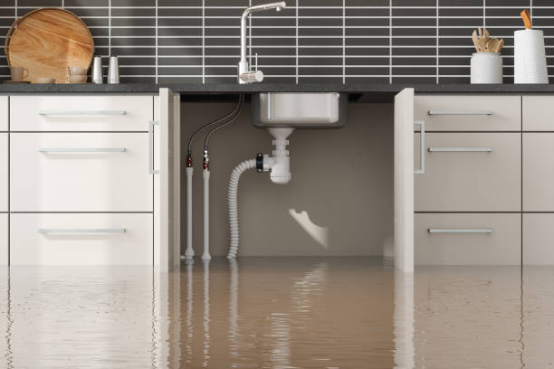 Best Commercial water damage restoration  in Kenvil, NJ