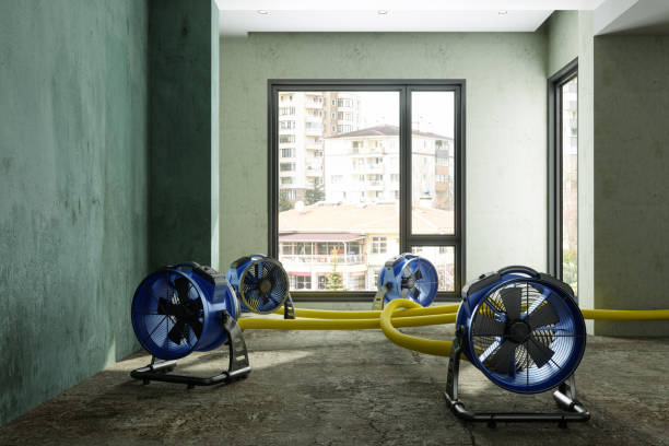 Best Residential water damage restoration  in Kenvil, NJ